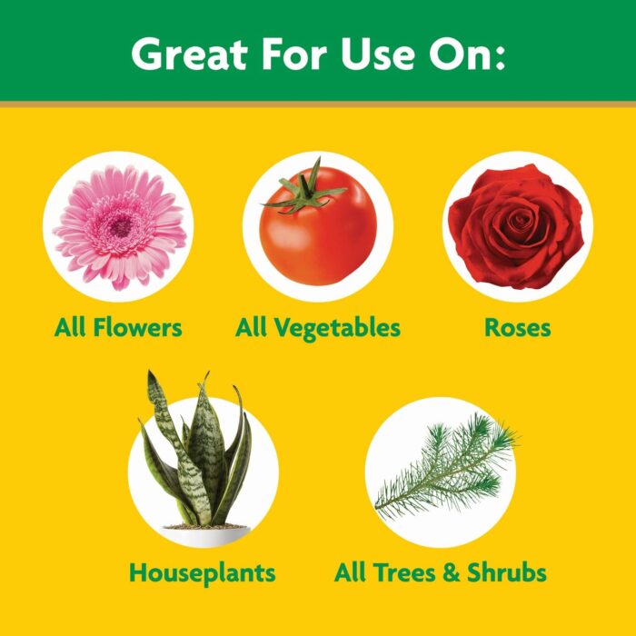 Miracle-Gro Water Soluble All Purpose Plant Food - Image 2